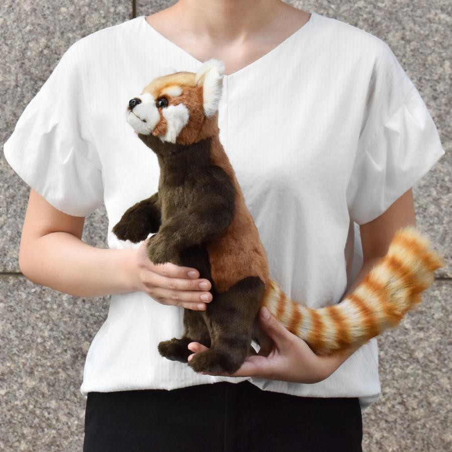 HANSA BH7252 レッサーパンダ れっさーぱんだ 小熊猫 ぬいぐるみ