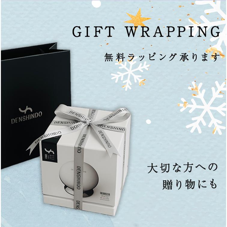 公式！2/15まで 5,000円OFF+ギフト】DENSHINDO プラズマ エアシャワー