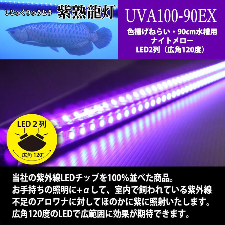 紅龍 レッドアロワナ スーパーレッド 水中 アロワナ ライト 紫外線 UV