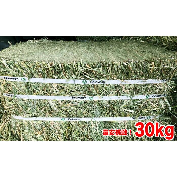 牧草 チモシー ダブルプレス 約30kg 1番刈り(アメリカ産) 令和7年産