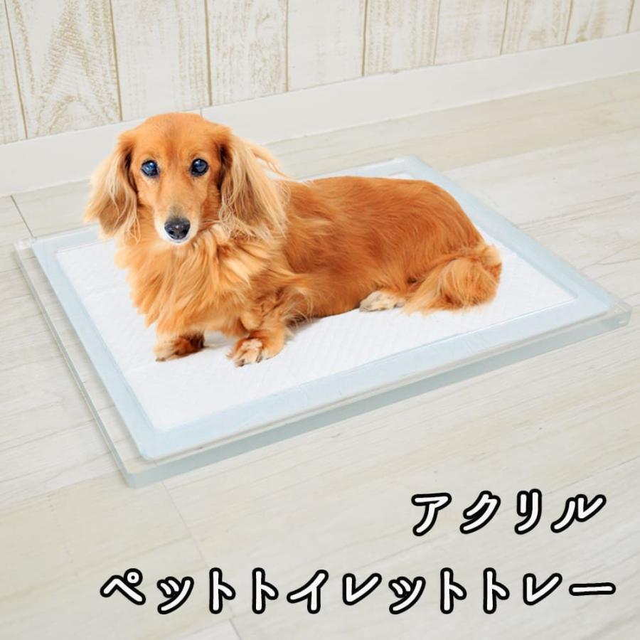 犬用 トイレ ペットトイレ トレー 洗える アクリル Kuai : かぐらし