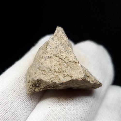 ティラノサウルス 化石 骨 本物 アメリカ産 35mm ケース付き tb122