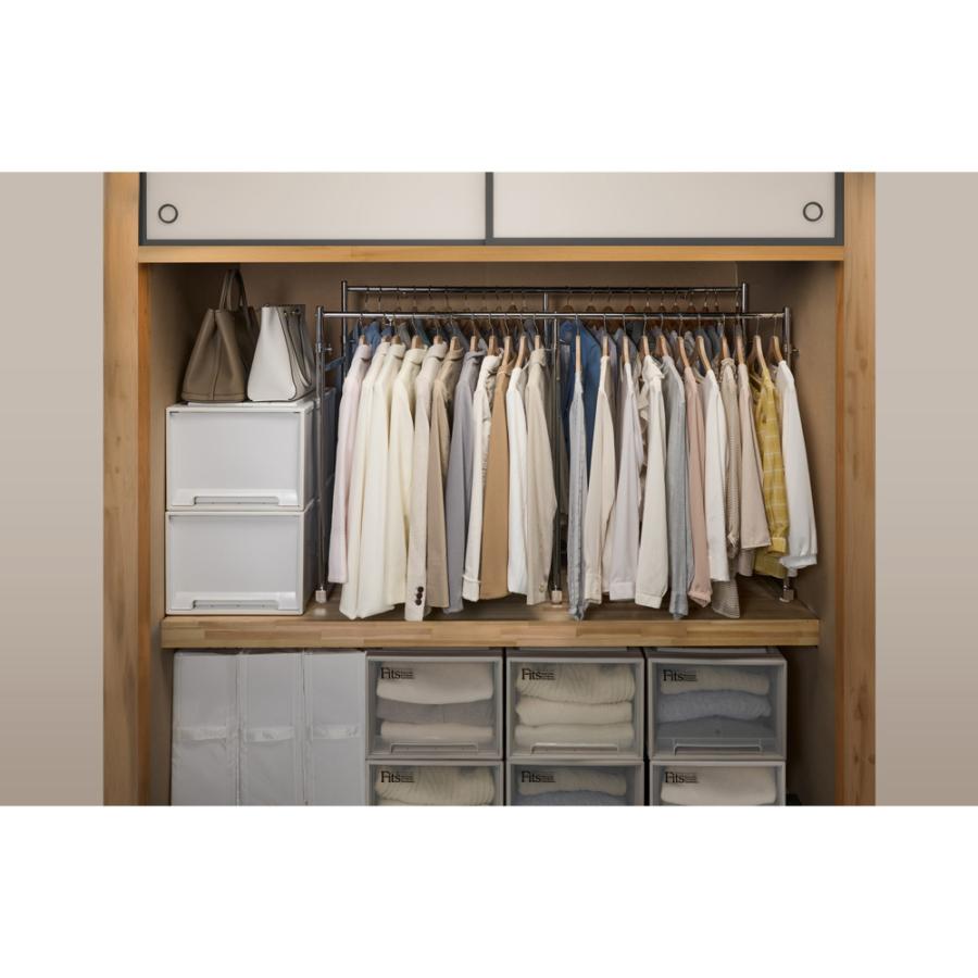 dinos（ディノス） 幅と高さが伸縮する 押し入れ頑丈ハンガー 一間用