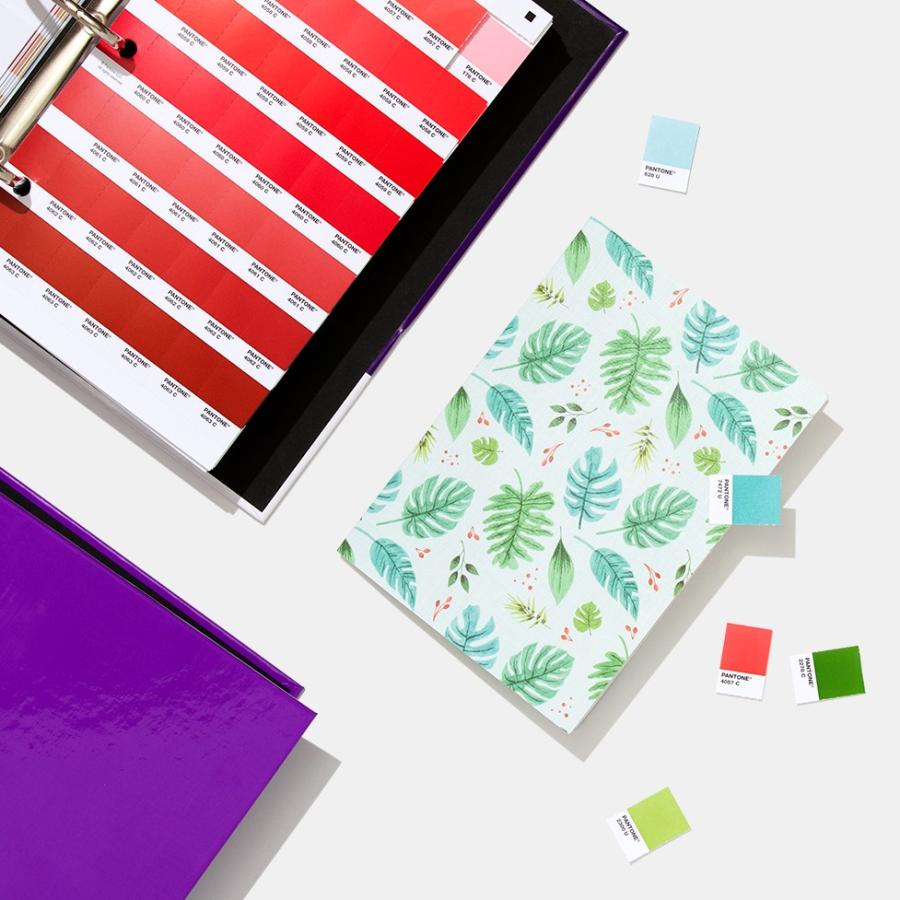 PANTONE（パントン） ソリッドチップス 2冊組 コート紙、上質紙