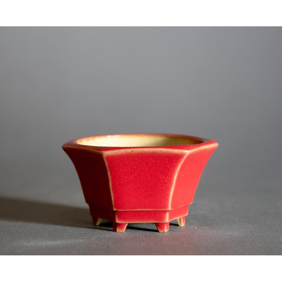 ミニ盆栽鉢 赤釉六角盆栽鉢 小さな盆栽鉢 國井正子盆栽鉢 盆栽鉢作家