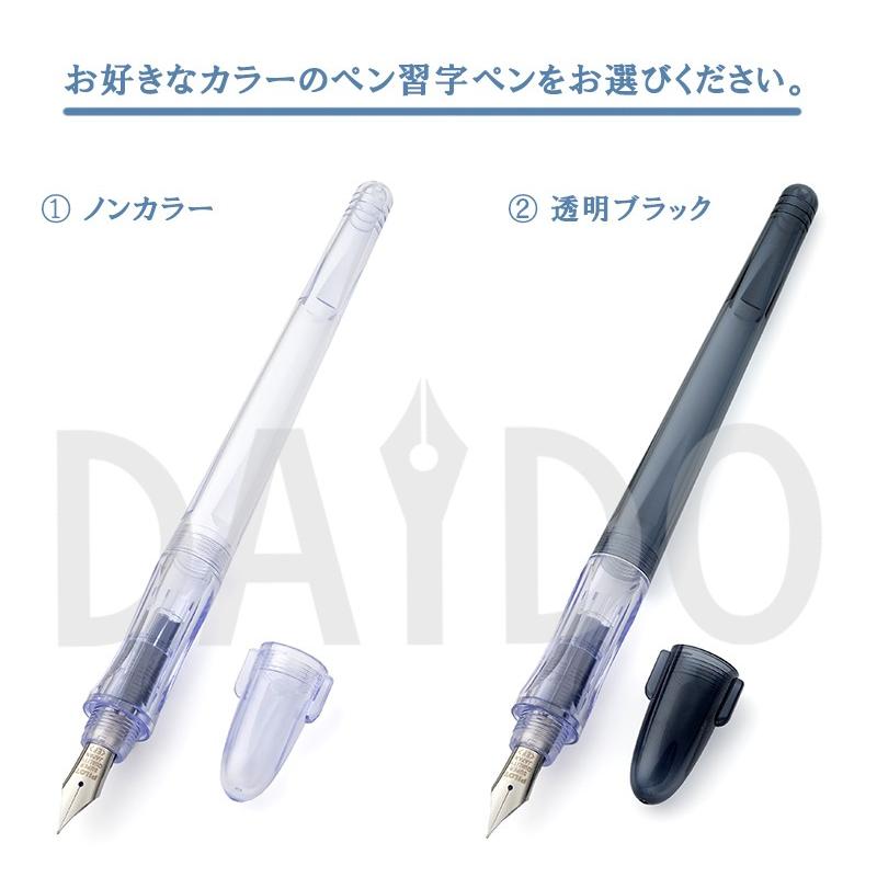 PILOT（パイロット） 万年筆 ペン習字ペン 透明軸 クリア (P-FP60R