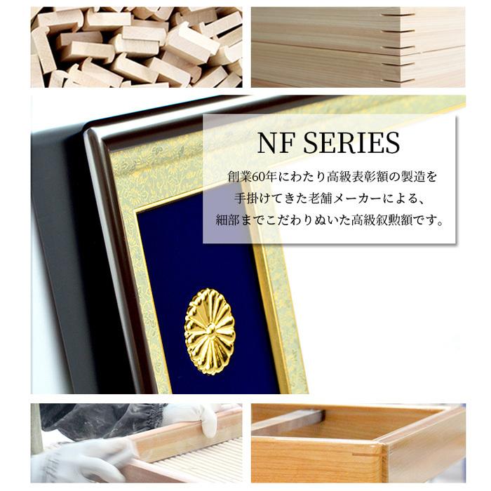 国産高級叙勲額 NF-J-2 勲記寸法：594×420mm用 叙勲勲章ケース収納型