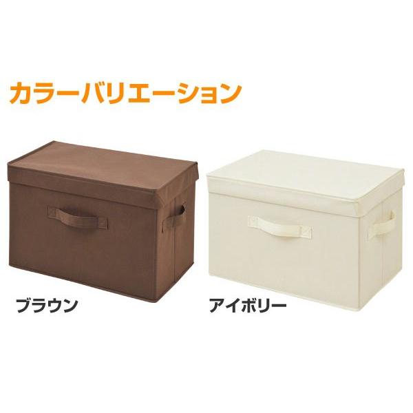 山善（YAMAZEN） 収納ケース フタ付き収納ボックス 2個組 YTCF-2PF