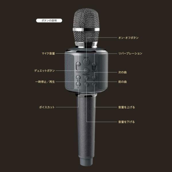 Smaly（スマリー） カラオケマイク デュエット機能 スマホ対応