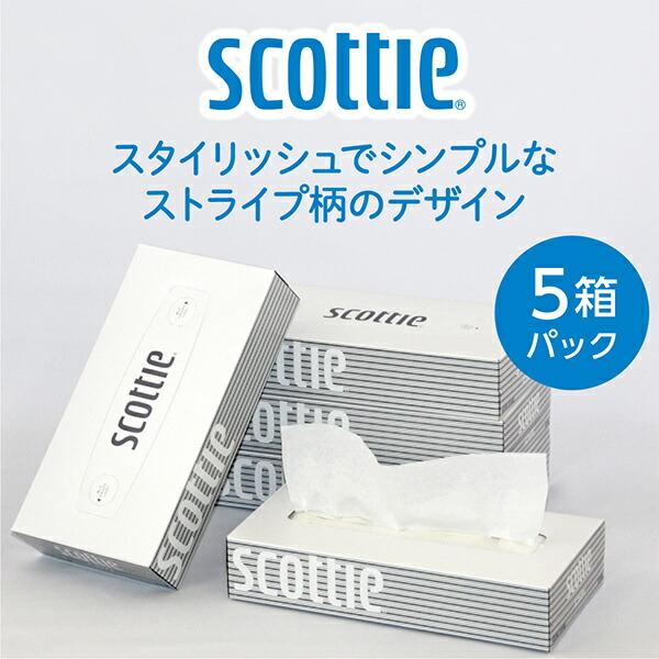 スコッティ（scottie） ティッシュペーパー 200組 5箱×12パック(60箱