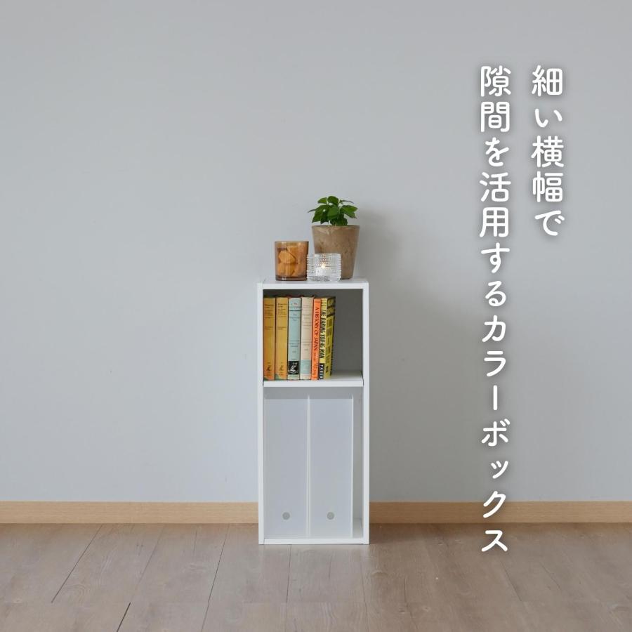 山善（YAMAZEN） 棚が動かせる カラーボックス スリム 2段 幅25 奥行き