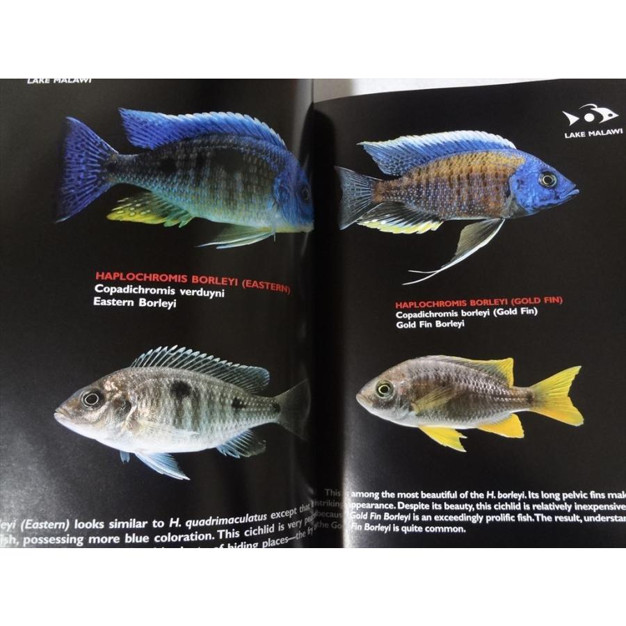洋書 シクリッド Cichlids The Pictorial Guide Vol.I 熱帯魚 本