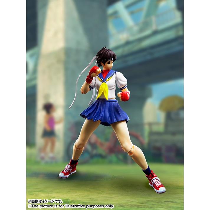 BANDAI（バンダイ） S.H.フィギュアーツ ストリートファイターシリーズ