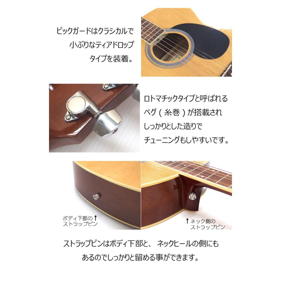 ARIA（アリア） アコースティックギター アコギ 初心者 超入門 9点