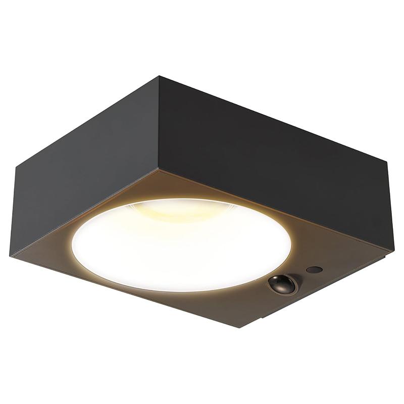 スパイダーマン ウォールライト ヨコ約20㎝、タテ約30