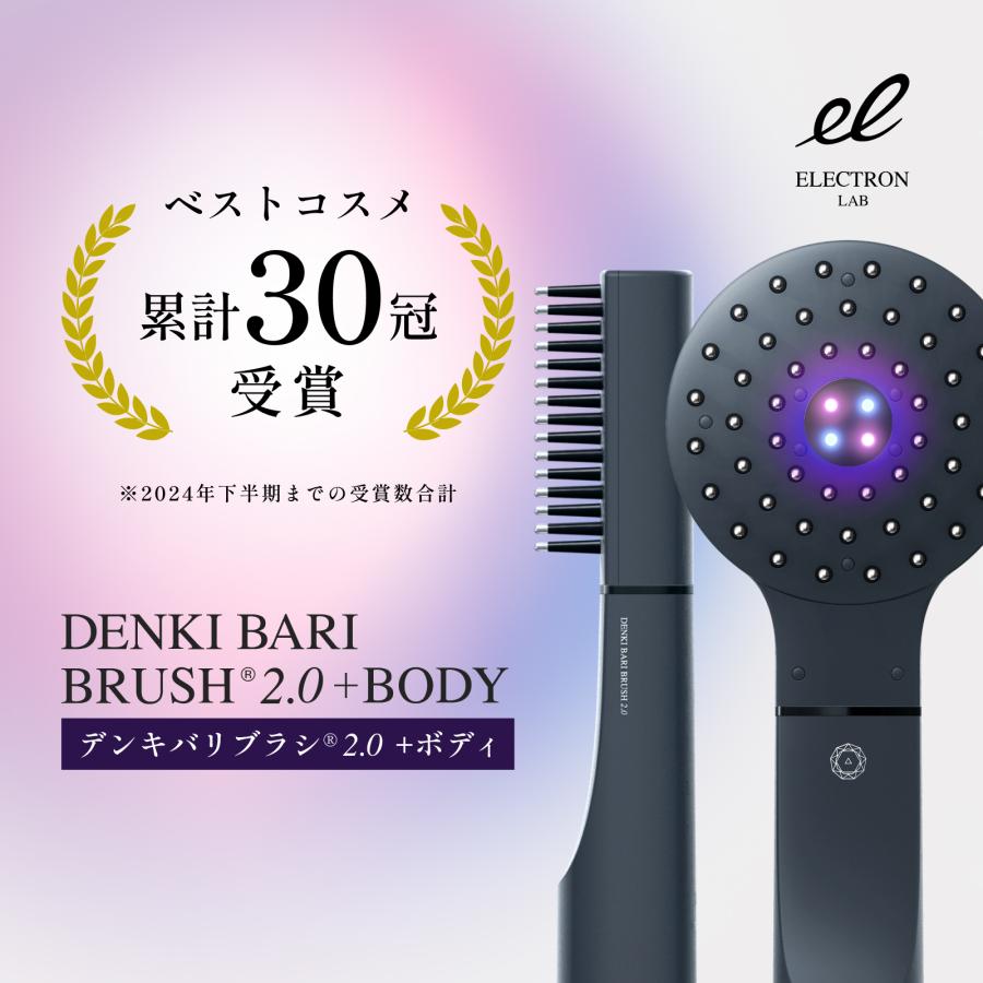 ELECTRIC BARI BRUSH エレクトロン電気バリブラシ