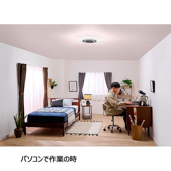 IRIS OHYAMA（アイリスオーヤマ） CEA-A12DLP LEDシーリングライト 12