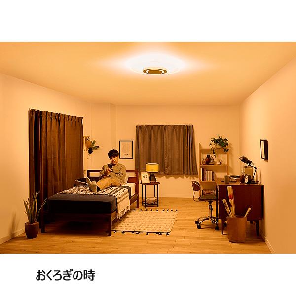 IRIS OHYAMA（アイリスオーヤマ） CEA-A12DLP LEDシーリングライト 12