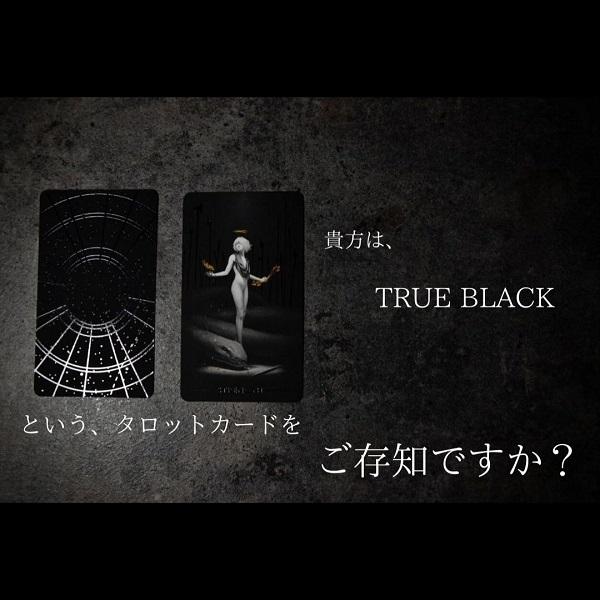 タロット カード 正規品 日本語 解説書 意味 一覧 ケース ライダー版