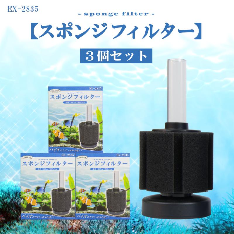 1月購入】1000mlライフエッセンス＆セラミックフィルター＆洗浄用