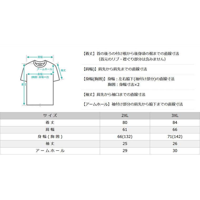 PRO CLUB（プロクラブ） [ビッグサイズ] Tシャツ ヘビーウェイト