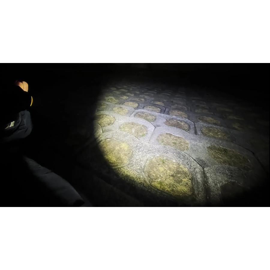 ゼクサス/ZEXUS 15周年記念 ZX-R390[限定ケース付] 750ルーメン