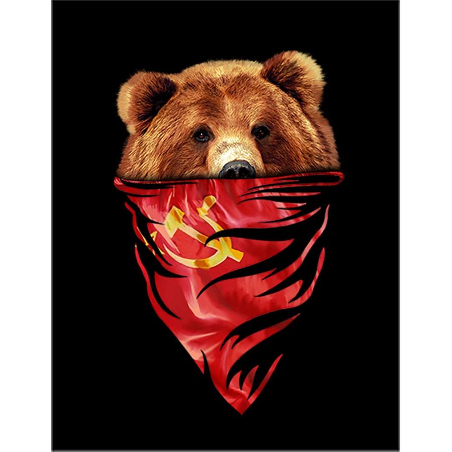 グリズリーベア・熊・クマ｜ソビエト連邦】ポストカード 黒背景 : FOX