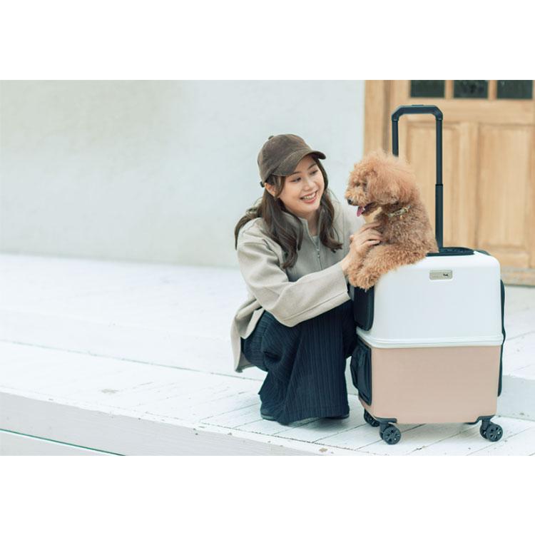 豪華特典付/ペットキャリー PETiCO iCO Lサイズ （小型犬2匹/中型犬1匹