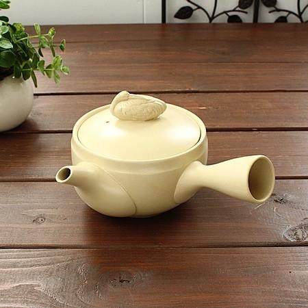 常滑焼 クリーム急須 (和食器 ポット 茶器 アウトレット) : Flower&May