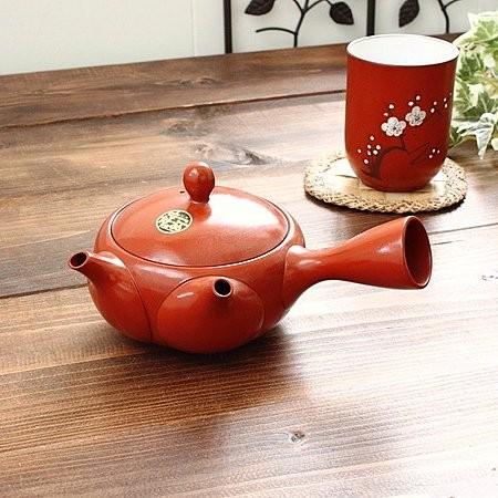 常滑焼 朱泥二口急須 (和食器 ポット 茶器 朱泥 アウトレット