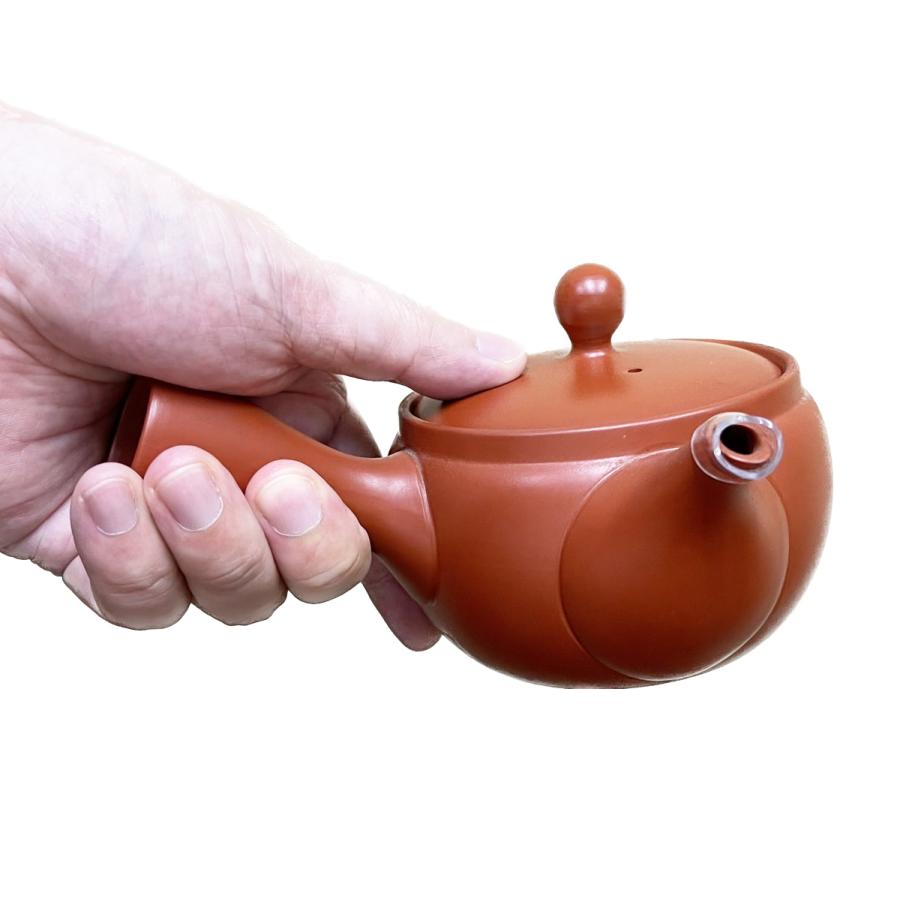 常滑焼 左利き急須 400ml 伝統朱泥 さわやか網茶漉し 趣味の茶器 国産