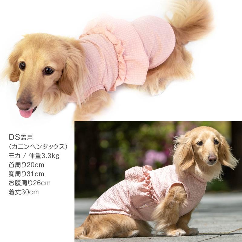 full of vigor（フルオブビガー） 犬 服 ストライプ フリル 吸水速乾