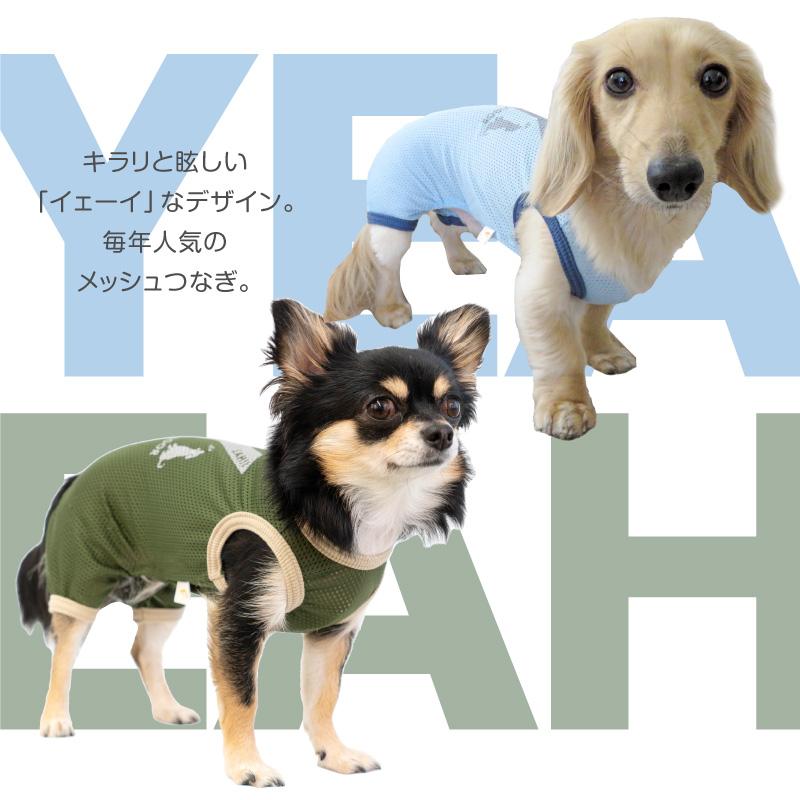 J*e様 ALPHAICON メッシュ犬服 イエロー・グリーン 楽天市場】【2022年