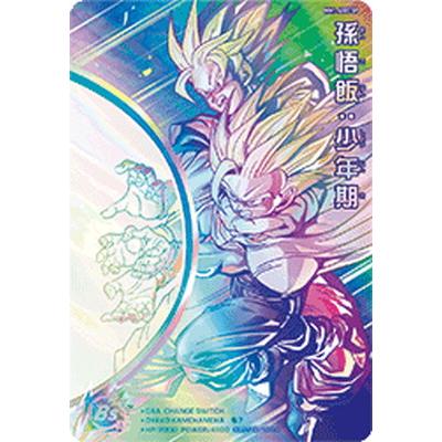 ドラゴンボールヒーローズ 孫悟飯 SPカード ☆13th Anniversary☆ 孫悟