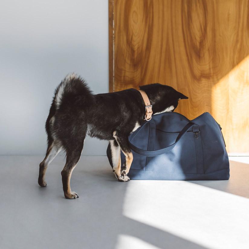 free stitch スクエアトート グレー Mサイズ ペット用キャリーバッグ