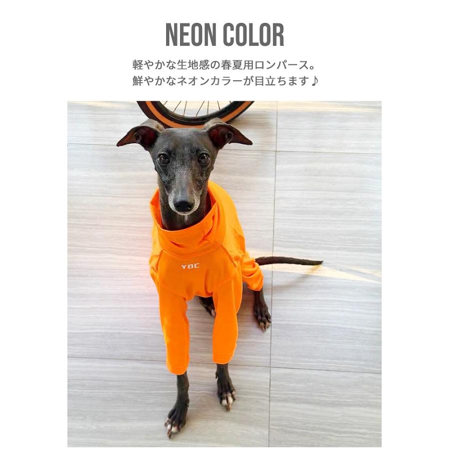 イタグレ 服 メッシュロンパース ネオンカラー 蛍光色 春夏 メッシュ