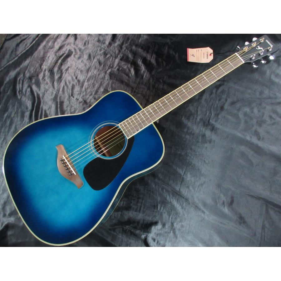 新品弦 軽量 初心者 ビギナー向け アコースティックギター ブルー 青