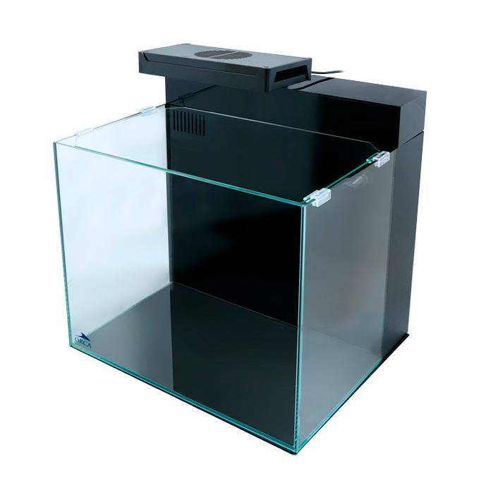 レッドシー 送料無料（北海道・沖縄除く） シェル2 フレッシュ