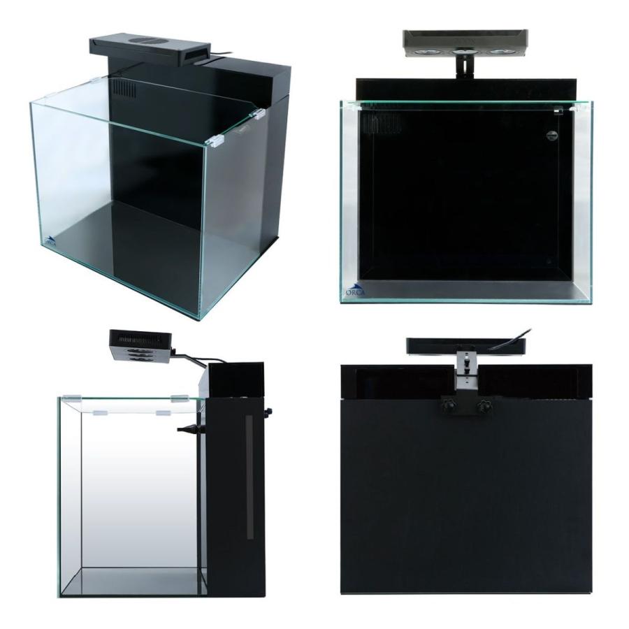 レッドシー 送料無料（北海道・沖縄除く） シェル2 フレッシュ