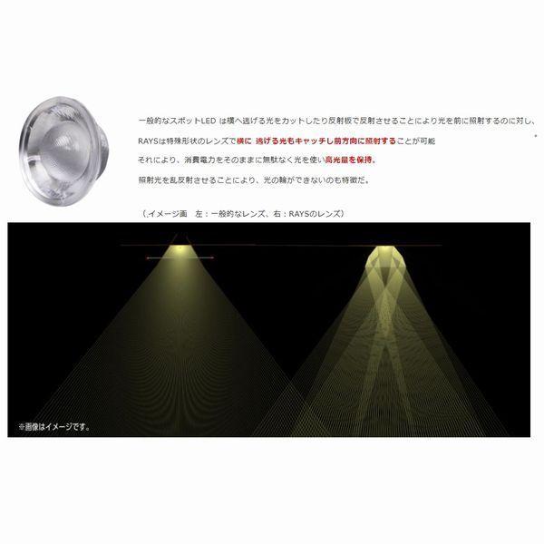 ZOOX 送料無料 レイズ スーパーブルー SuperBlueRAYS 高品質スポット