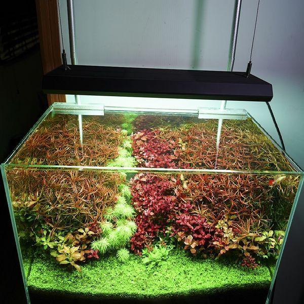 Chihiros Aquatic Studio 「VIVIDII」シルバー RGB VIVID LED LIGHT