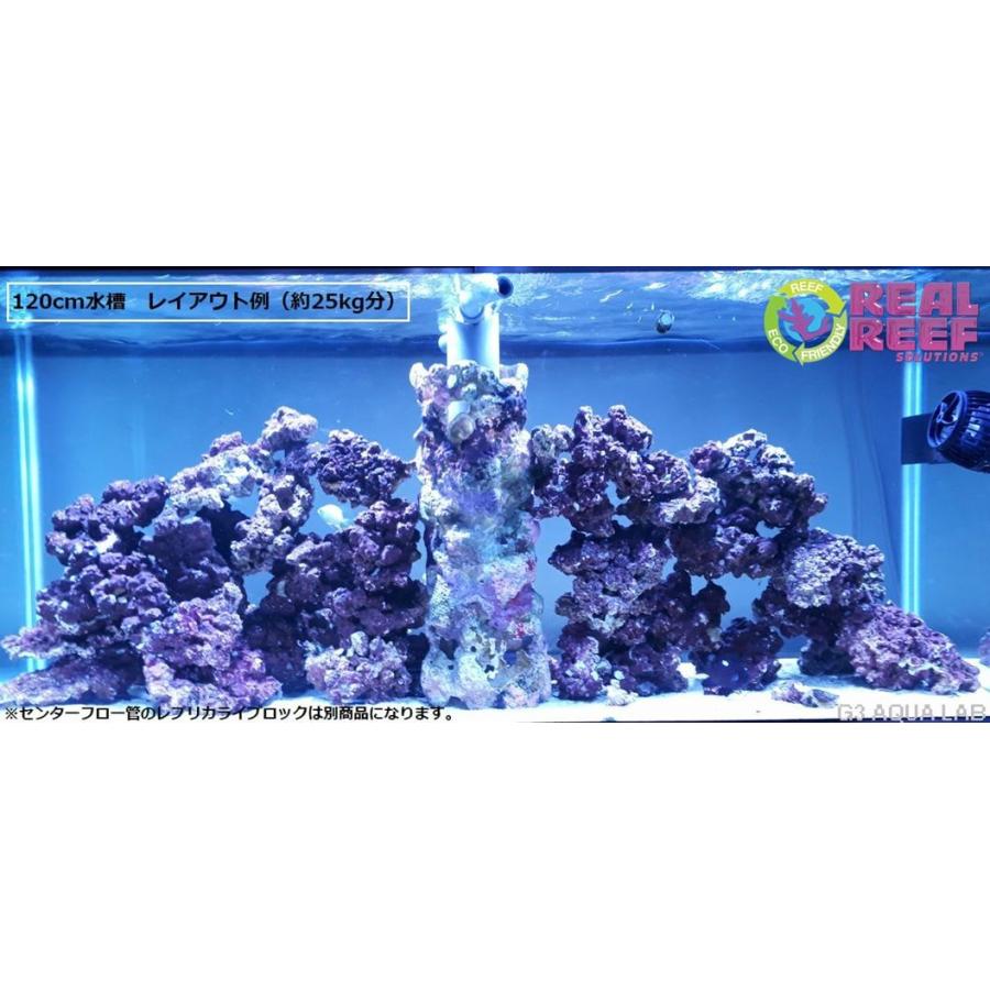 ライブロックレプリカ4個セット ❖新品アク抜き不要 人工ライブロック