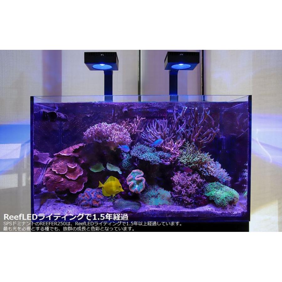 レッドシー リーフLED ReefLED90 ハンギングキットセット : G3 AQUA
