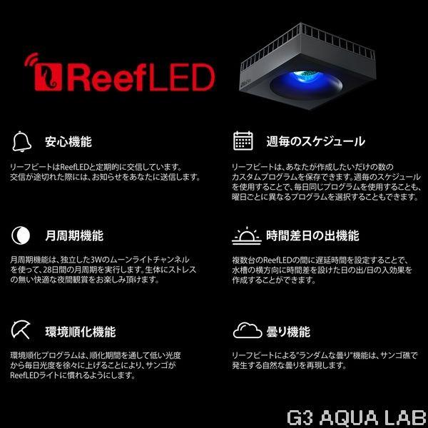 レッドシー リーフLED ReefLED90 : G3 AQUA LAB ヤフーショップ - 通販