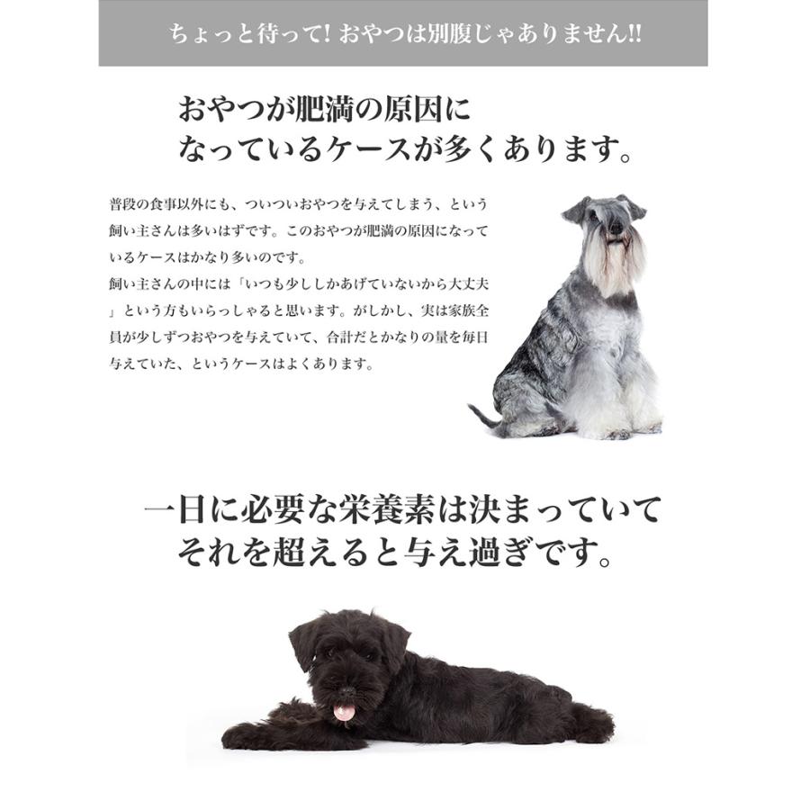 ロイヤルカナン（ROYAL CANIN） ミニ ライト ウェイト ケア 4kg / 小型