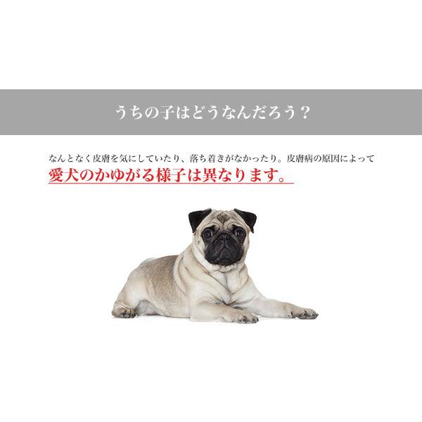 ロイヤルカナン（ROYAL CANIN） ミニ ダーマコンフォート 2kg / 小型犬