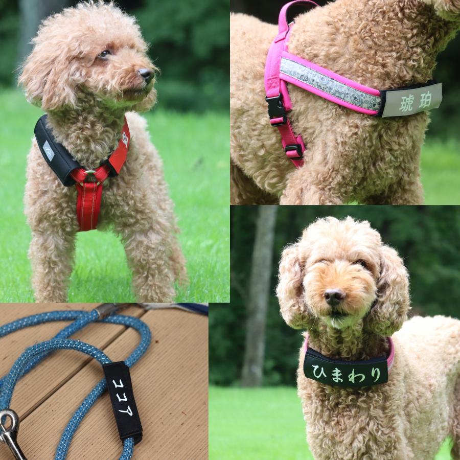 Hakusan]いろんなハーネス、首輪、リードにクルっと巻くだけ