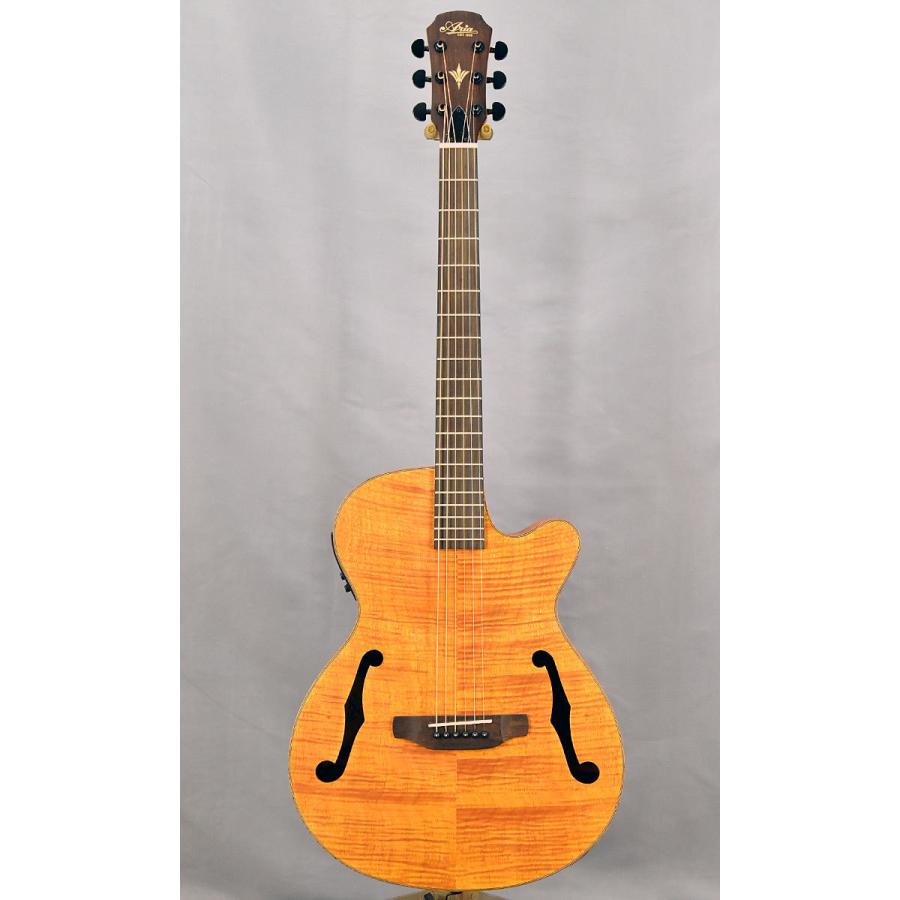 ARIA（アリア） Aria FET-F2 STBR (スペア弦付き) アコースティック