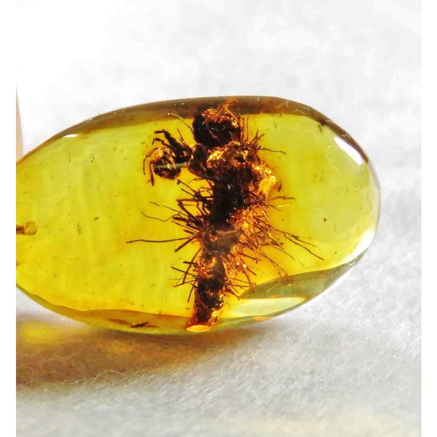 値下げ！！ 虫(蜂)入り琥珀 （黒檀製台座付き） 値下げ！！ 虫(蜂)入り