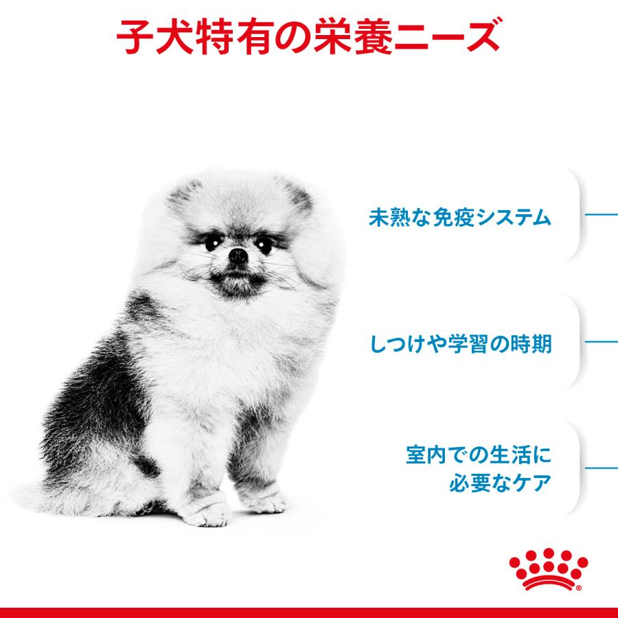 ロイヤルカナン（ROYAL CANIN） 犬 ドッグフード ミニ インドア パピー